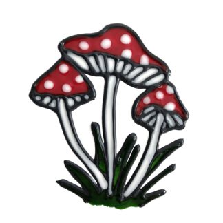 Baby Mushrooms